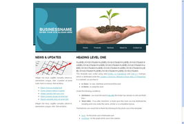 做一种电子产品的商务平台网站 特急