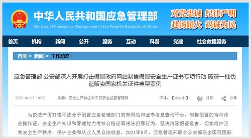 深入打击假冒政府网站制售假冒安全生产证书专项行动